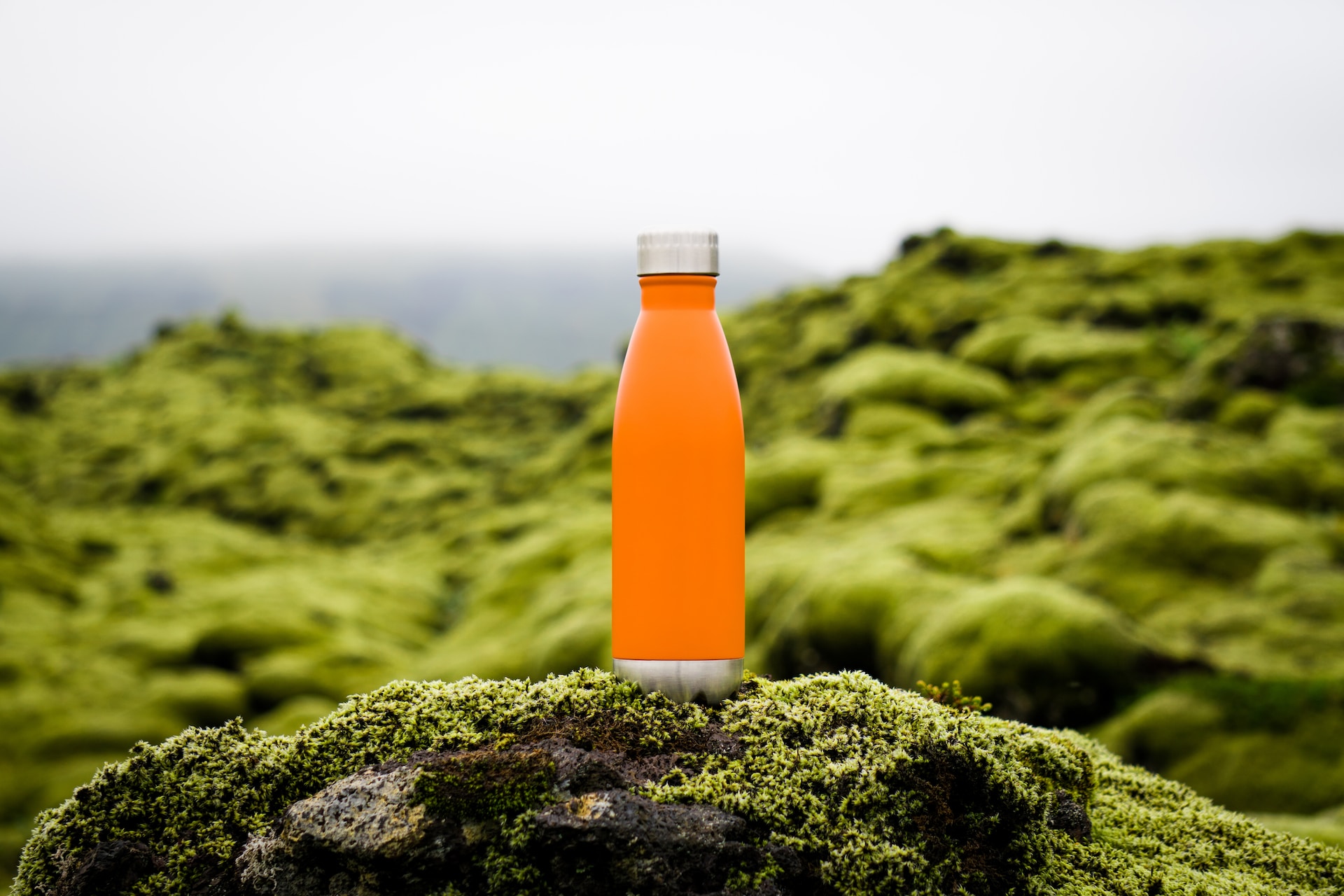 beverage